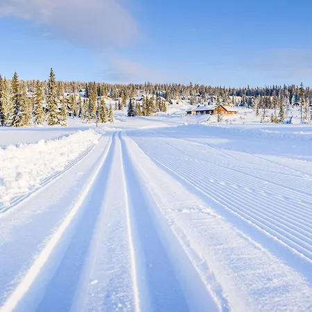 3 Bedroom Amazing In Lillehammer